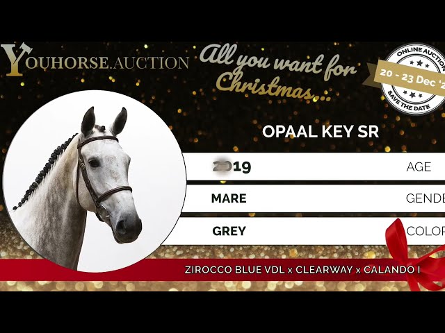 Opaal Key showvideo