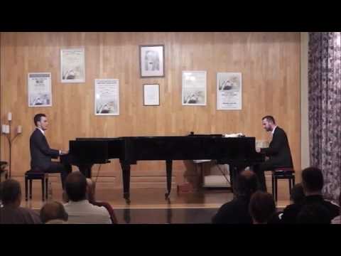 Matyas Gayer & Matyas Bartha - Hallucinations