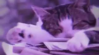 Download lagu STORY WA || LAGI PUSING KEKINIAN 30 DETIK || TERBARU KEREN 2020 mp3