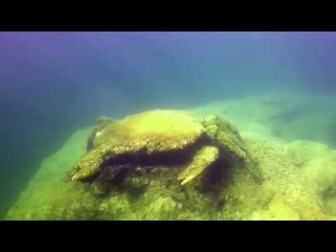Friedberger Baggersee - Andrés Tauchvideos , Friedberger See,Bayern,Deutschland