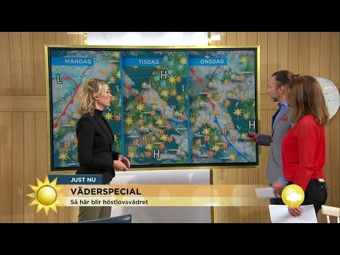 "Trevligt väder!" Specialprognos: Så bra blir höstlovsvädret - Nyhetsmorgon (TV4)