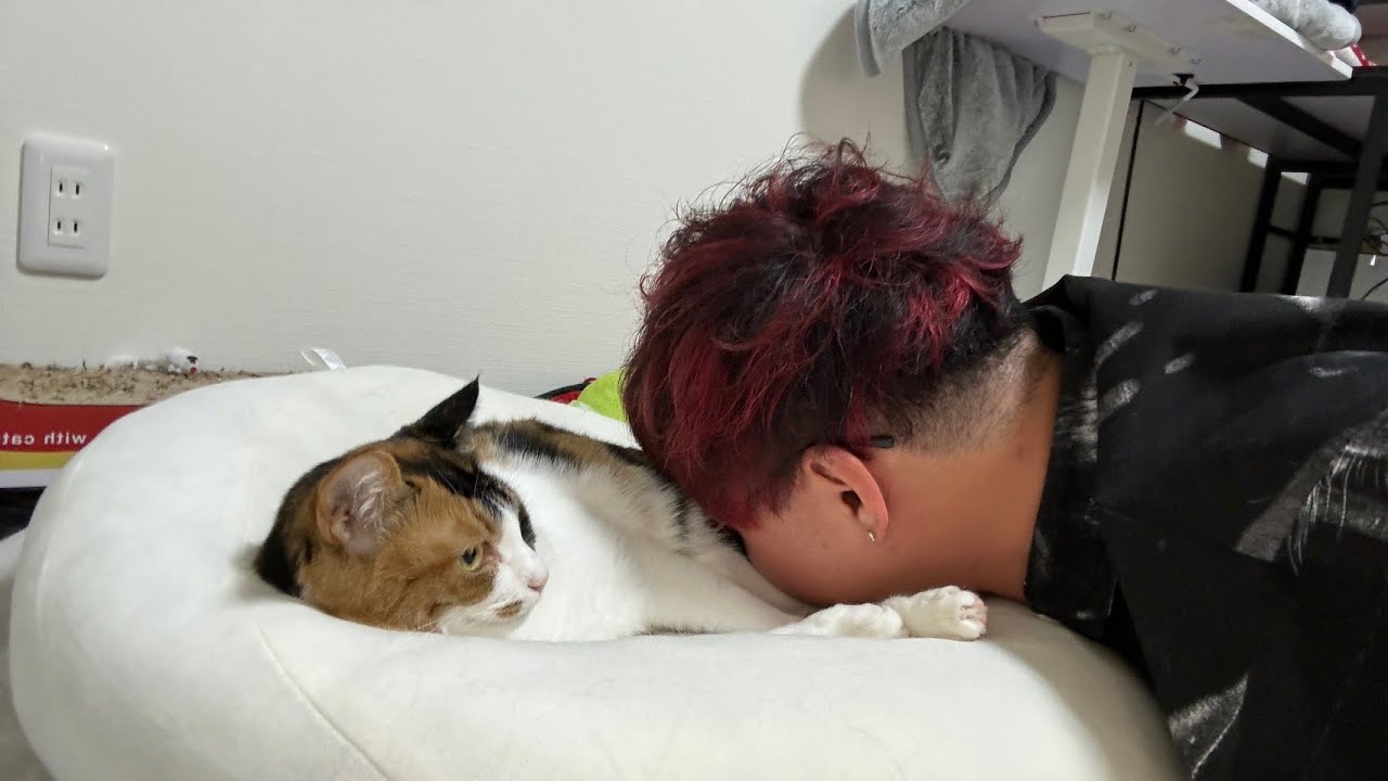 日曜日が終わってしまったので猫と酒を飲む配信