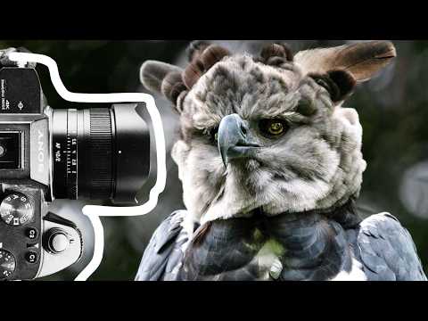 Better Photography – Image Review of Your Great Photos_Part 68