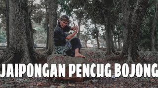 Download lagu Jaipongan Pencug Bojong - UAS Mata Kuliah Jaipongan mp3 Download lagu Jaipongan Pencug Bojong - UAS Mata Kuliah Jaipongan mp3