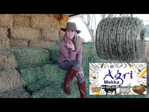 Doringdraad...kampspan...