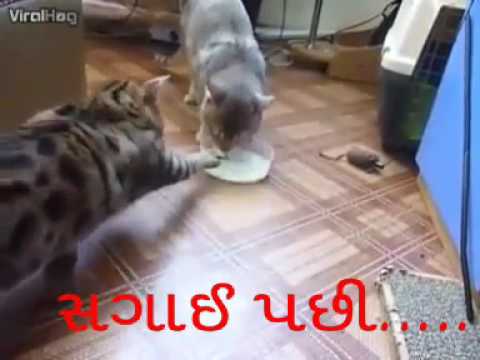 Funny videos part 1 #9