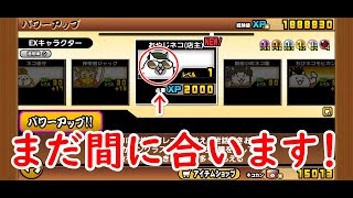 にゃんこ大戦争#33　まだ間に合います！ある意味期間限定別ゲームからのキャラゲット動画です！