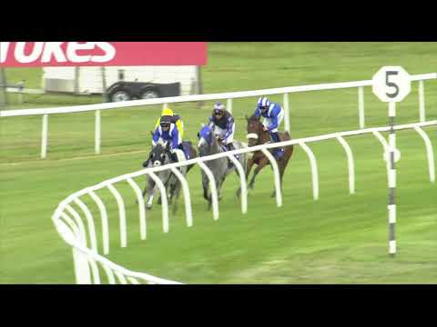 Thumbnail for DIAR 2019 International Stakes by Diar