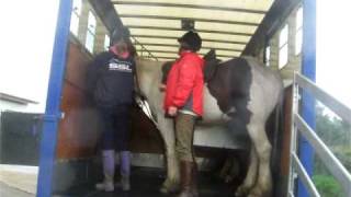 preview picture of video 'Horse Riding 2 Ireland 2009.avi'