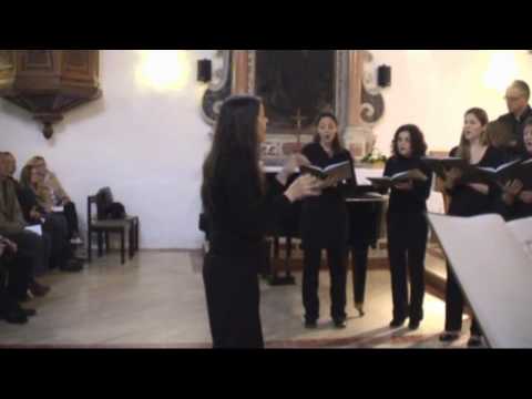 BONGO BONGO - RONDO HISTRIAE