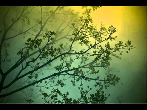 Jacques Müller - Changs Selection