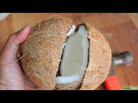 comment ouvrir noix de coco