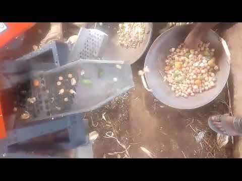 4 belt areca dehusking machine, 2hp, automation grade: autom...