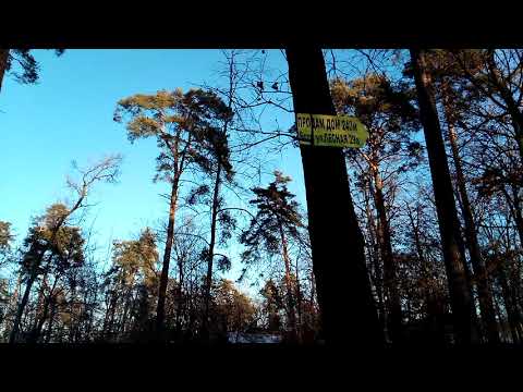 DOOGEE BL5500 Lite   тестовое видео