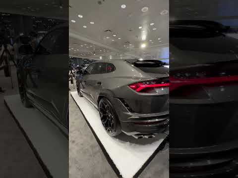 New Lamborghini Urus #shorts #lamborghini # #suv #car #cars #shortvideo #ferrari #bugatti #mercedes