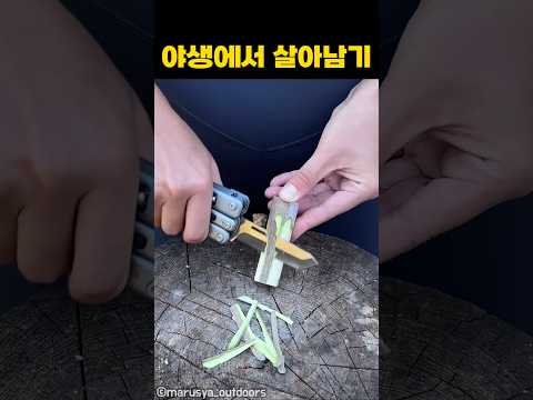 야생에서 살아남기