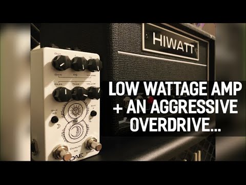 Deadweald Audio Duality DX | Slamming the front end of a Hiwatt Hi-5 High Gain All Tube Amplifier