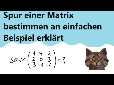 Wie kann man die Spur einer Matrix bestimmen und welche Bedeutung hat dieser Wert?