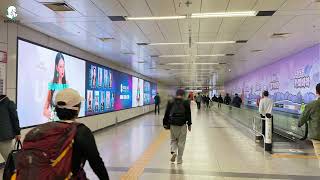 인플루언서 in BIGO - 강남역 미디어월광고