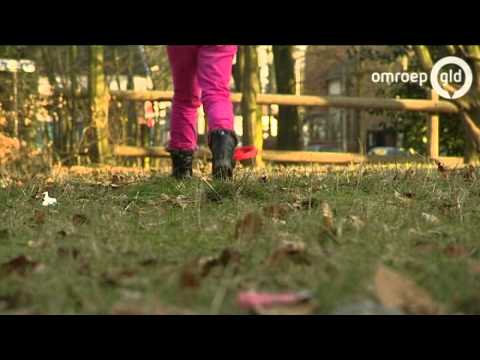 Nieuws 13.00 uur  6 maart 2013