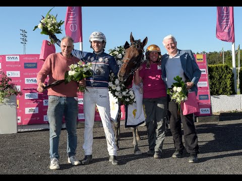 Anders Lindqvist-tränade Wild Love & Kevin Oscarsson vinner Harper Hanovers lopp på Solvalla 2021.