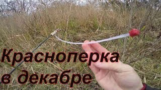 Ловля на боковой кивок осенью