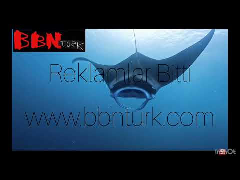 Bbn Turk Gerçekçi Reklam Outro (9.6)