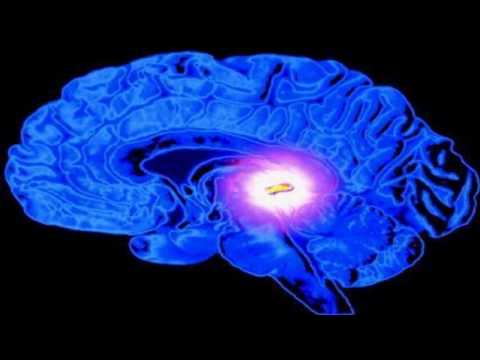 Ayahuasca Icaros - Takiwasi - 432hz