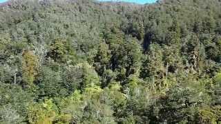 preview picture of video 'Kaitoke Regional Park, View of Hutt River.'