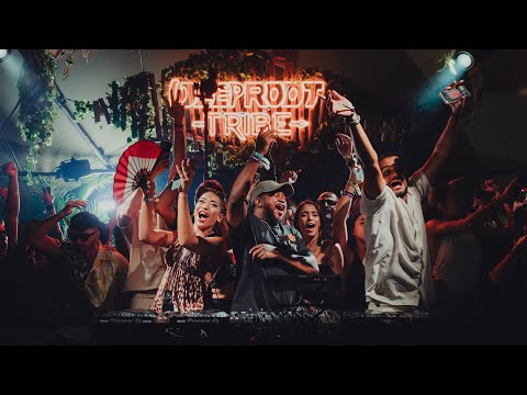 Nitefreak and 2 more