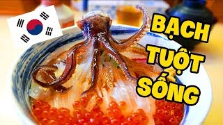 ĂN THỬ BẠCH TUỘC SỐNG và BBQ HẢI SẢN Ở HÀN QUỐC (Giáo Sư Chuối)