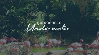Gardenhead &quot;Underwater&quot;