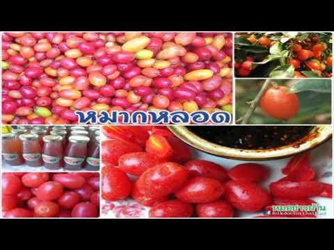 พื้นบ้าน aphrodisiacs Exciter ราคาสำหรับผู้หญิง
