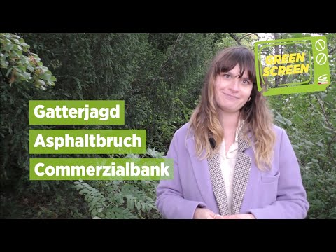 Vorschaubild: Green Screen Ep.12 | SPÖ-Schwenk bei Gatterjagd, Asphaltbruch in Winden, U-Ausschuss Commerzialbank