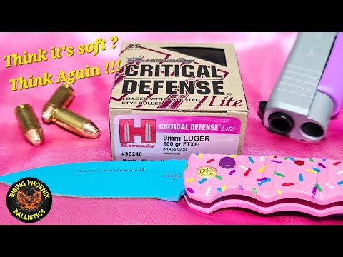 Hornady Critical Defense .380 ACP 90 gr Ammo Test