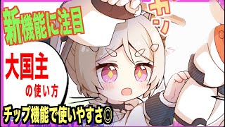 【エテゲザ】チップ機能実装で評価↑大国主も良い性能だぞ！【エーテルゲイザー】【深空之眼-Aether Gazer -】