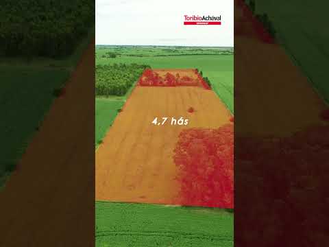 #VENTA_CHACRA📍Minuano 🌿Colonia - Uruguay