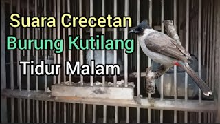 Download lagu Suara Crecetan Burung Kutilang Tidur Malam, Bisa untuk Pancingan Kutilang Lain || Kicau Series mp3