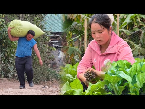 After everything, Mila and Viet returned to their simple, everyday life - Ly Tieu Mila