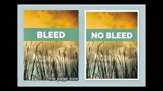 Difference between a Bleed and a No Bleed page size | Amazon self publishing