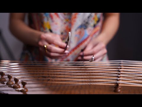 Santur Solo Music Video by Sadaf Amini, موزیک ویدیو تکنوازی سنتور صدف امینی