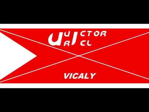 Revolution vs I Can't Stop - Diplo vs Flux Pavilion (Dj Vicaly)