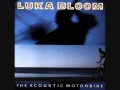 luka bloom - the acoustic motorbike