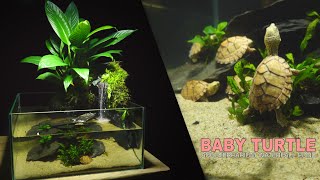 Making Simple Filter in Waterfall Aquaterrarium For Turtle Babies