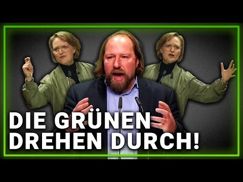 What's going on with the Greens? Speech by Brantner & Hofreiter sparks discussion.