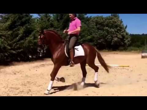 "Firme da Caniceira" e João Zúquete