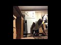 Ignoring Prank And Working Out With Uncle