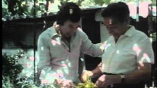 el fary y su madre entrevista amigos en la noche