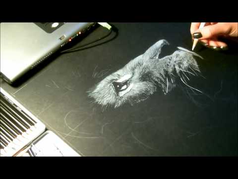 Speed drawing, dessin Lion Crayon blanc sur fond noir