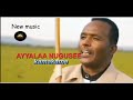 Ayyalaa Nugusee Kamakame New Ethiopian Music Afan Oromo 2022 2023